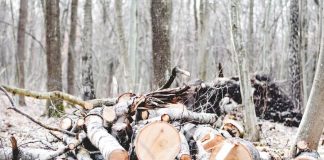 This Leading Indicator of The Economy Still Not Out of The Woods